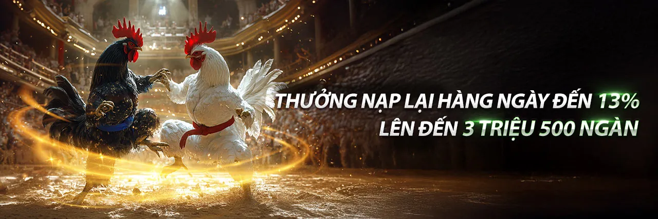 Hình ảnh chính về cá cược thể thao và khuyến mãi SV288